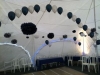 birthday party marquee