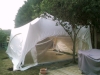 Marquee squeezed in next to a tree
